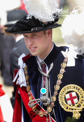 英国威廉王子介绍剑桥公爵威廉王子身高